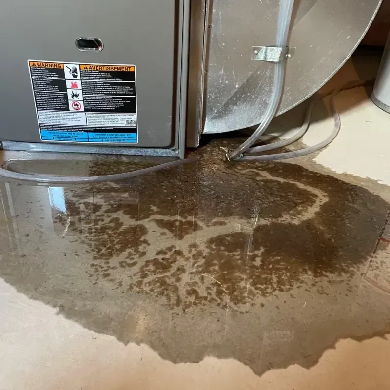 Appliance Leak Cleanup in Chelsea, AL